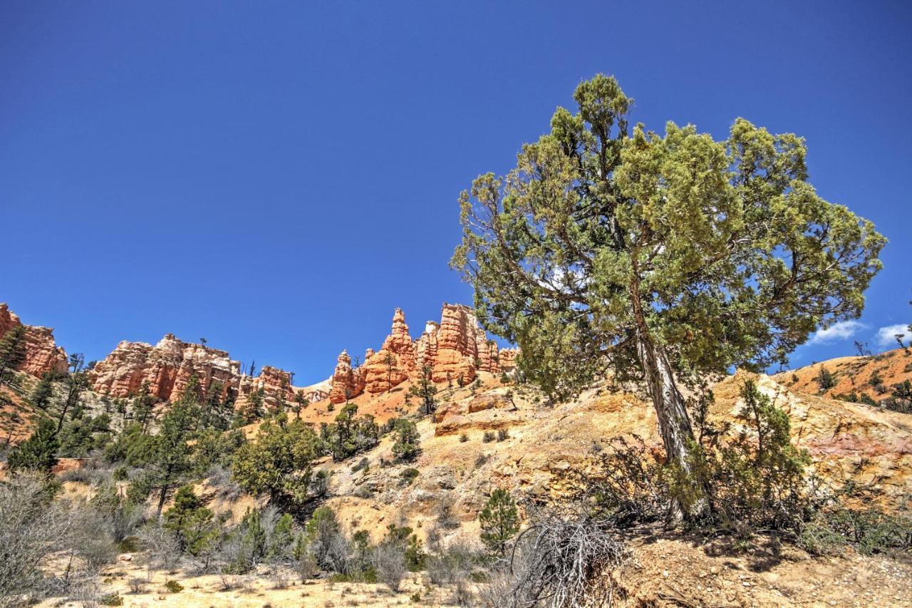 Bryce Canyon Area House With Mountain Views! Tropic Exteriér fotografie